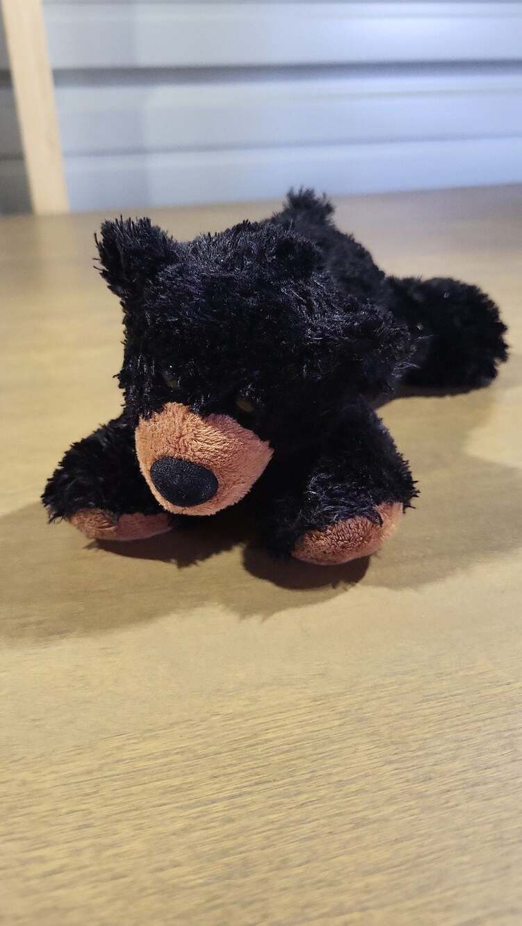 Aurora Mini Flopsie Black Bear 8" Plush Stuffed Animal